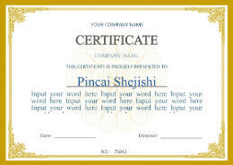 ΚΙΝΑ Beijing Silk Road Enterprise Management Services Co.,LTD Πιστοποιήσεις